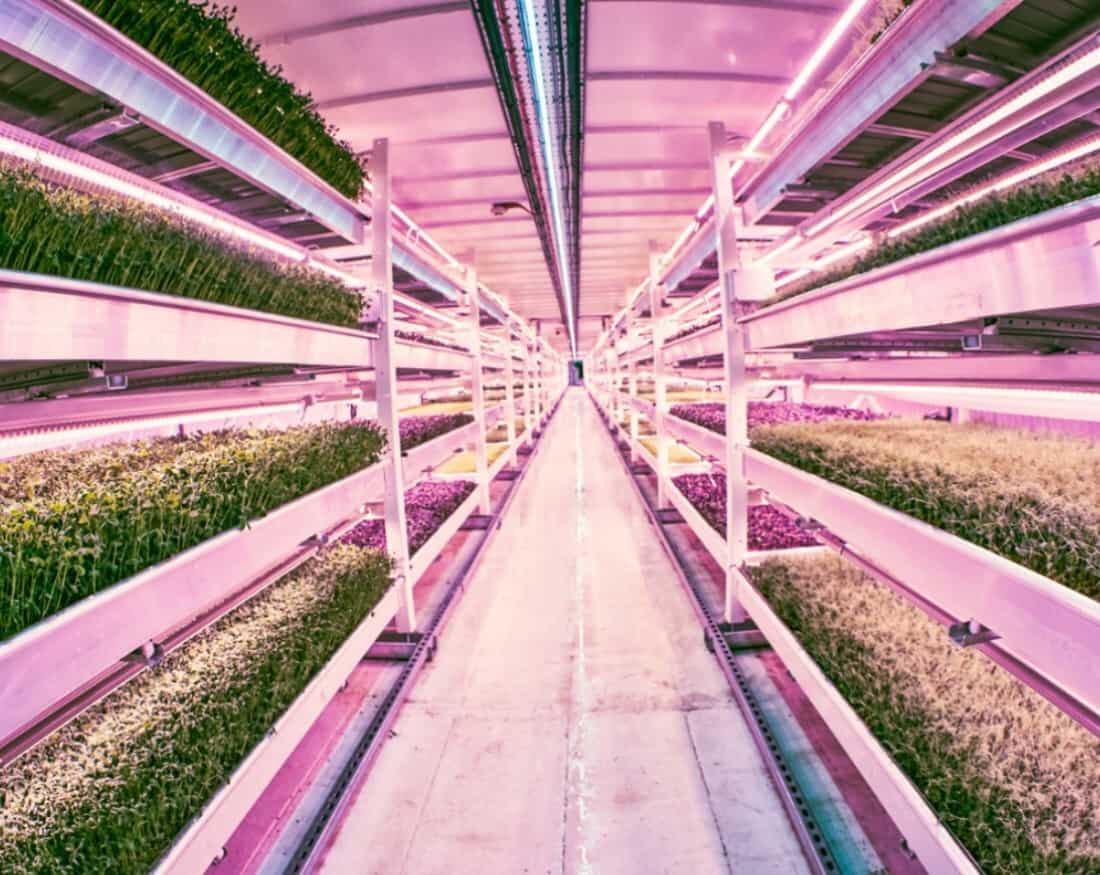 Indoor Microfarms